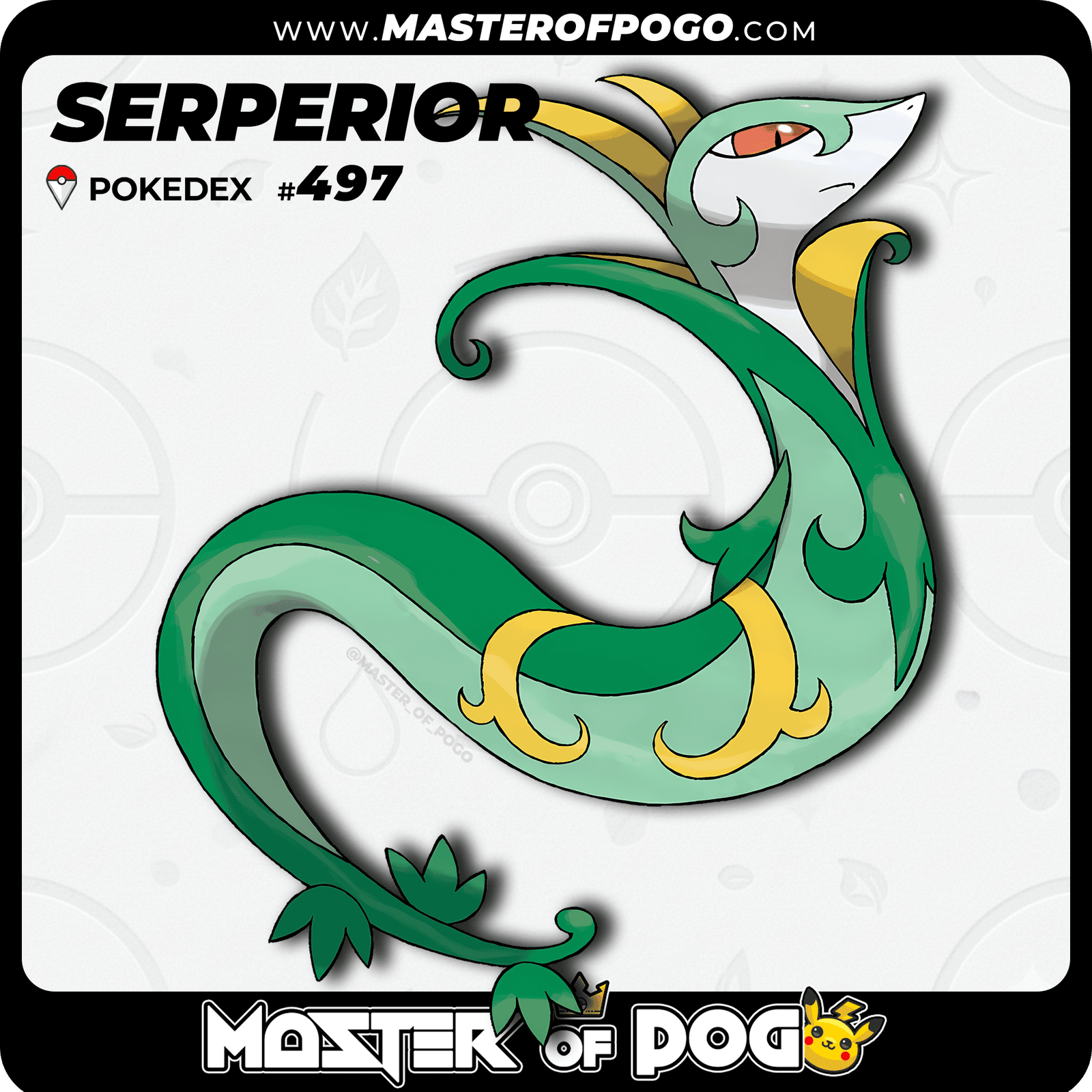 WEB-POKEMON-497-1.png