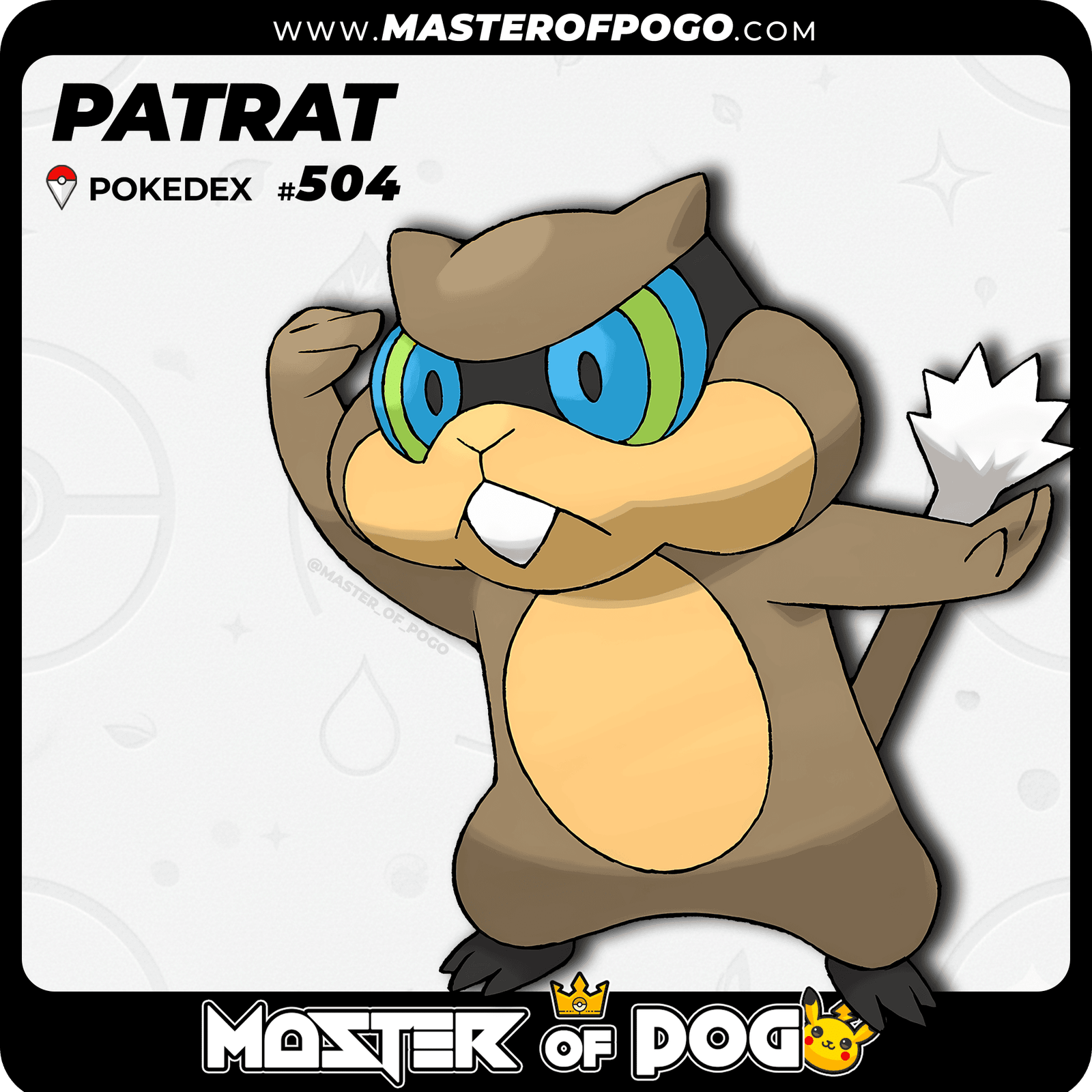 WEB-POKEMON-504-S-1.png