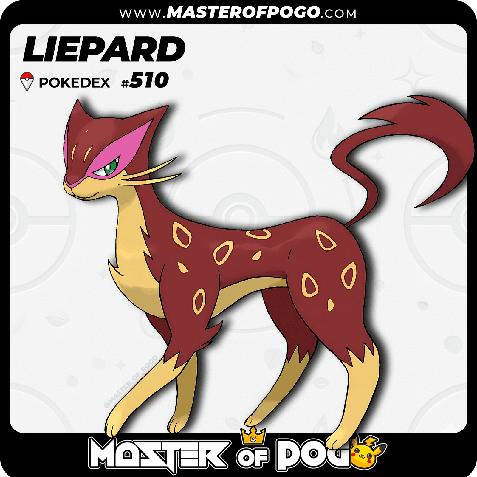 WEB-POKEMON-510-S-1.png