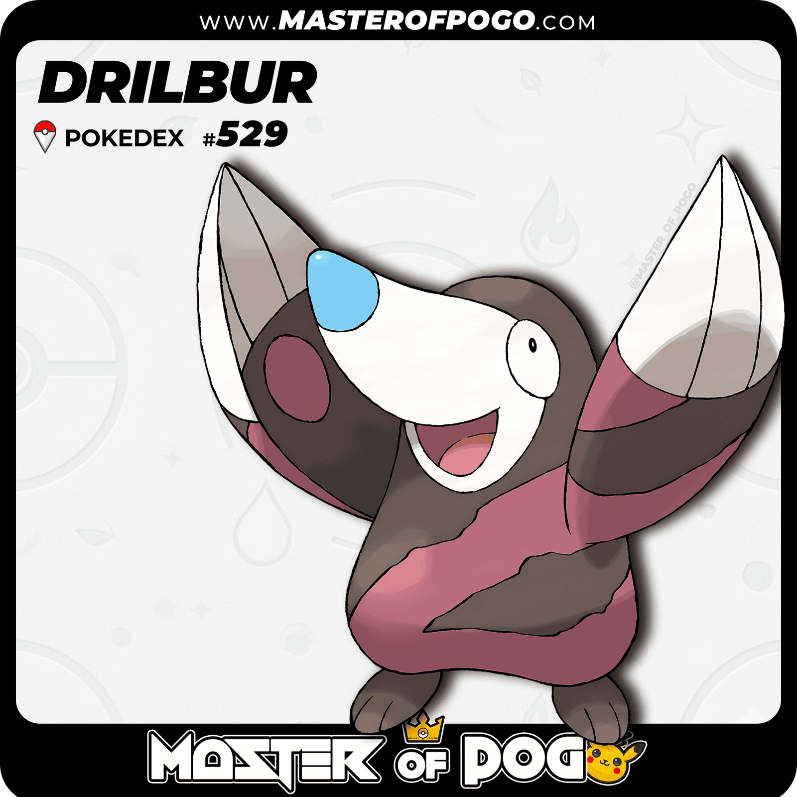 WEB-POKEMON-529-S-1.png