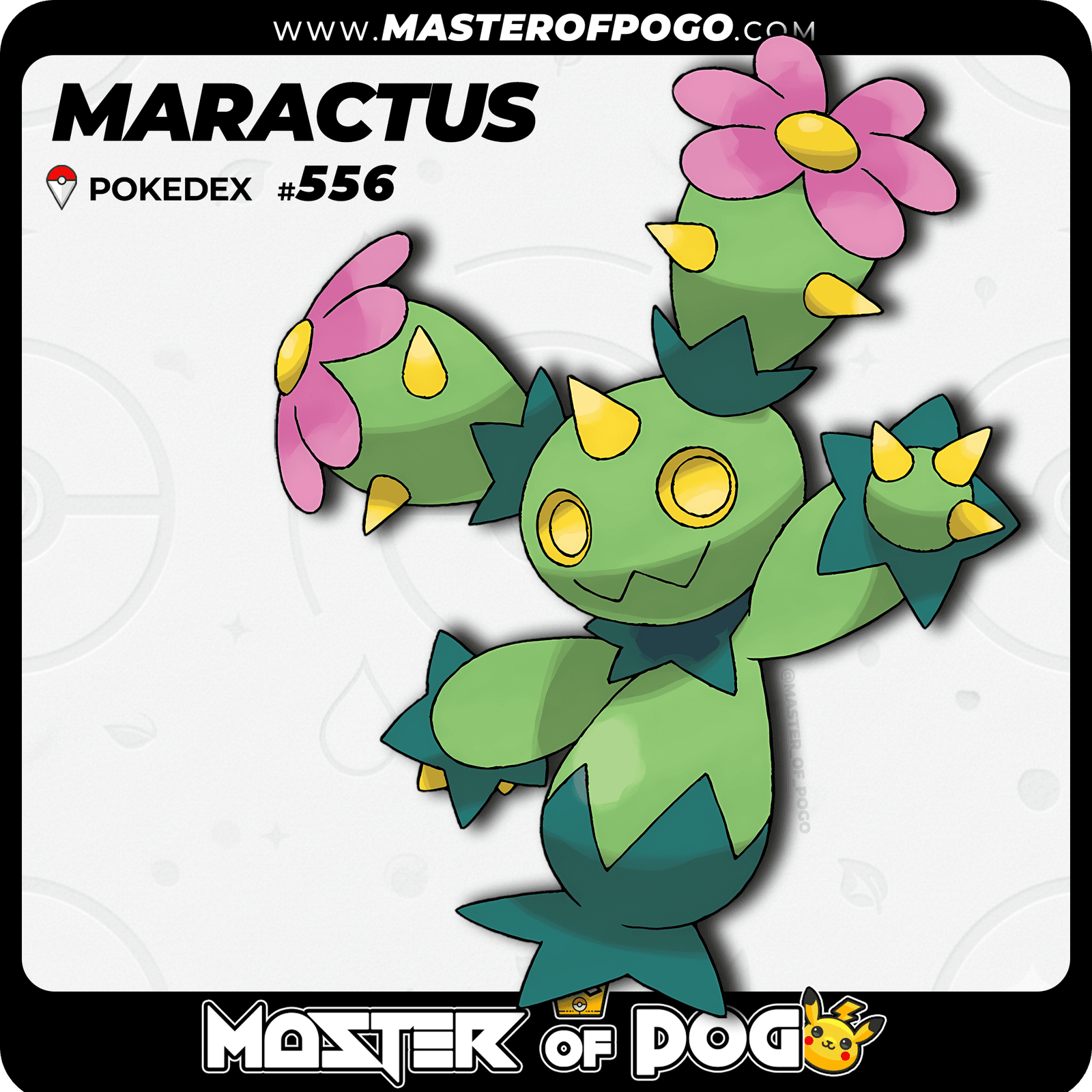 WEB-POKEMON-556-1.png