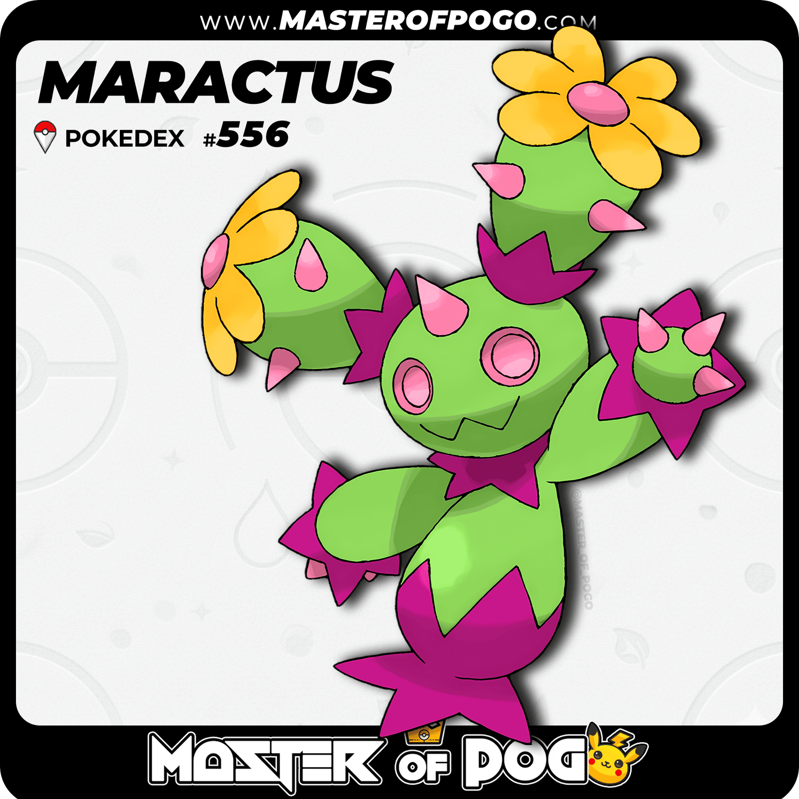 WEB-POKEMON-556-S-1.png