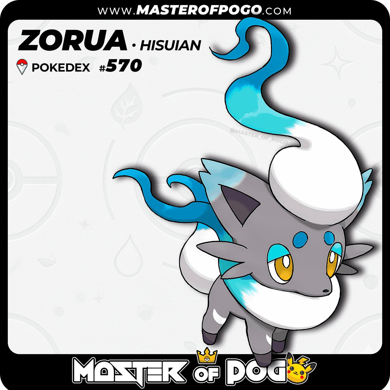 WEB POKEMON – 570 HISUI S