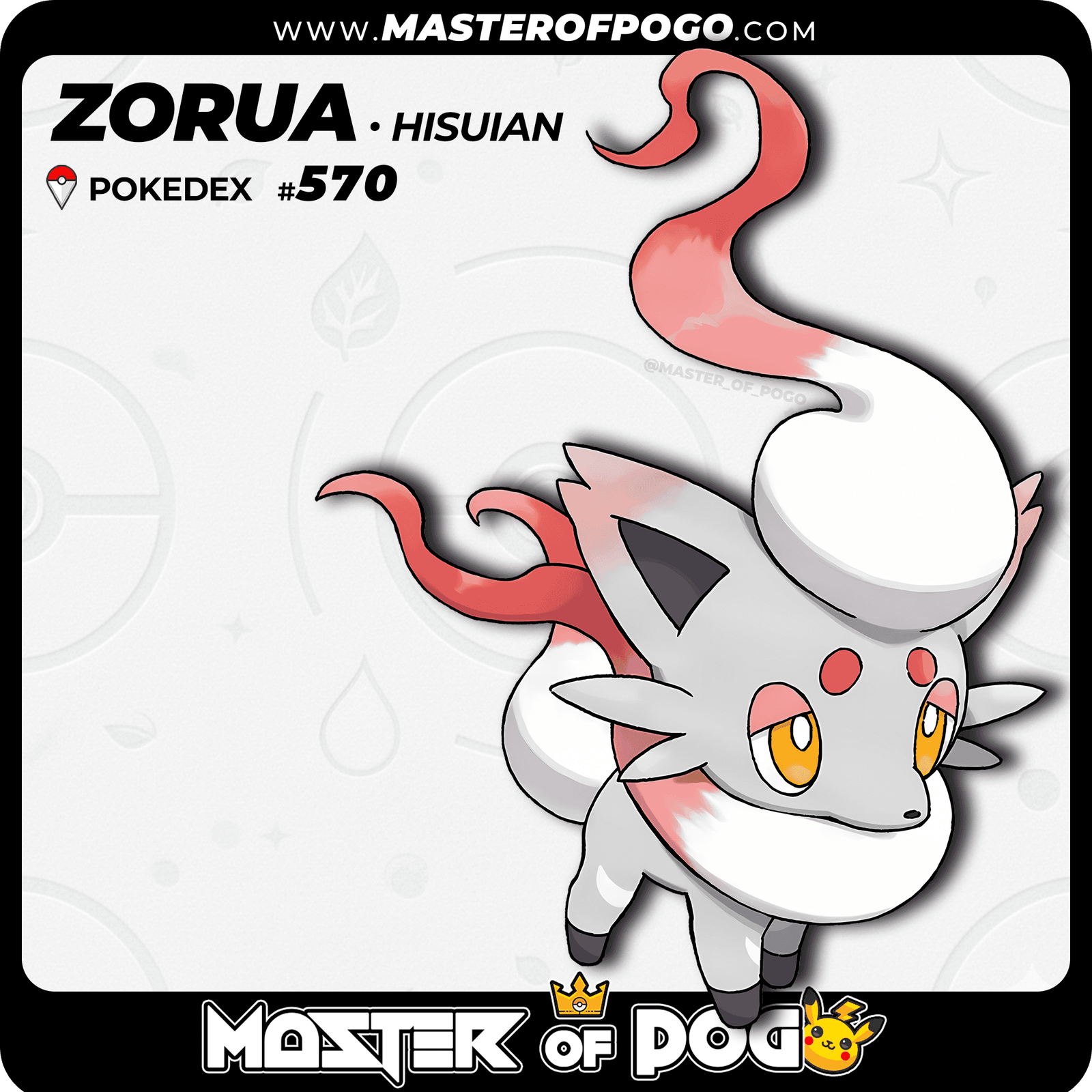 WEB POKEMON - 570 HISUI
