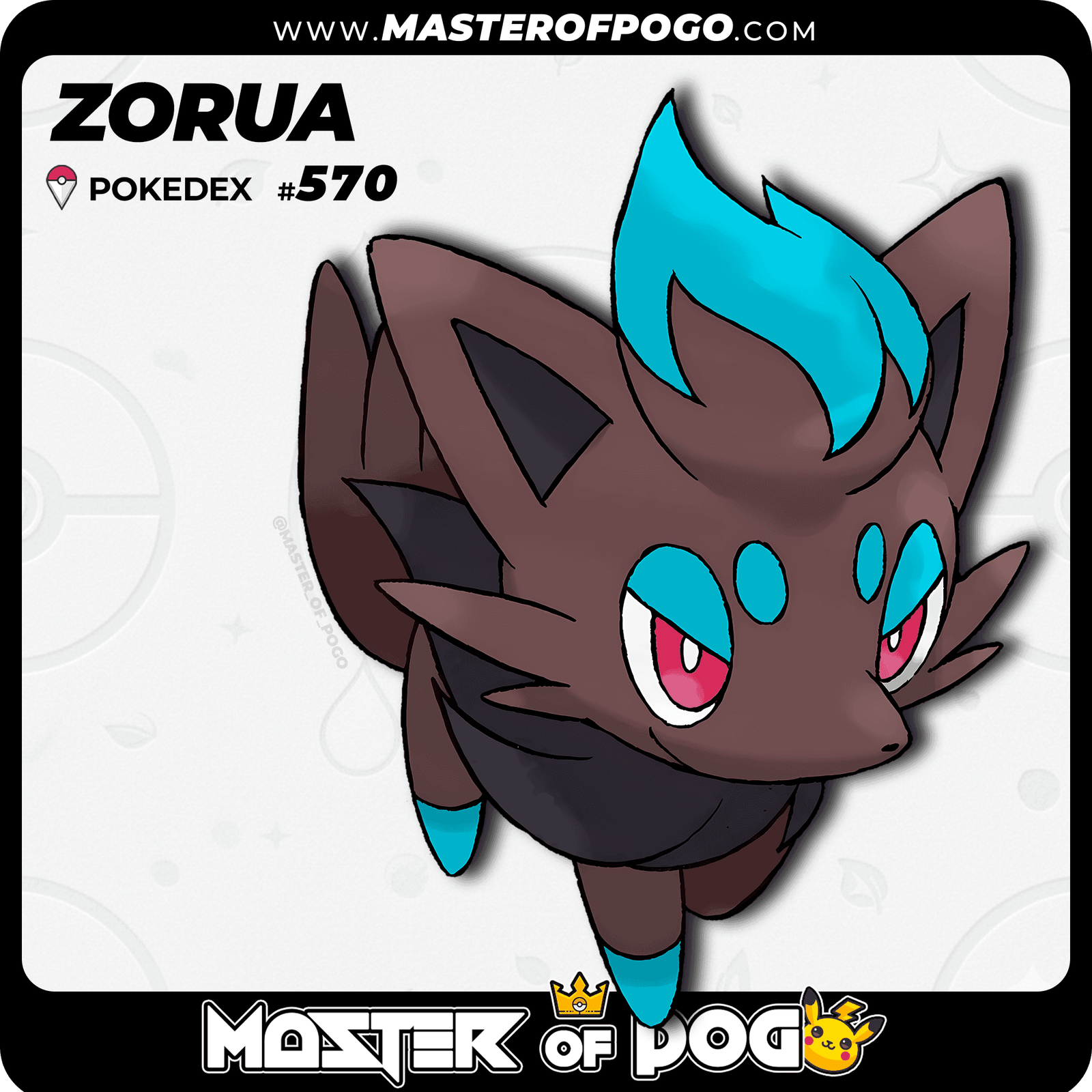 WEB-POKEMON-570-S-1.png