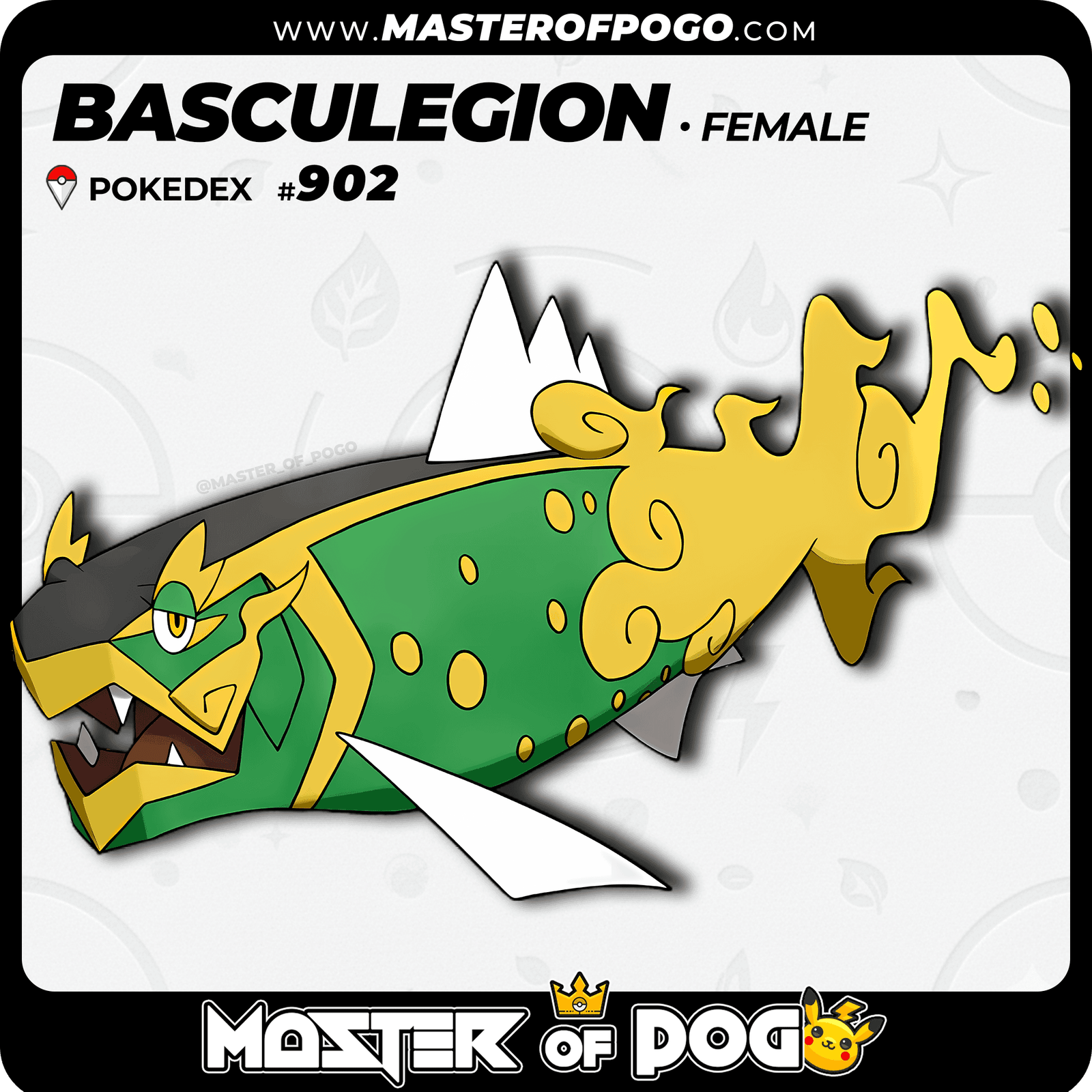 WEB POKEMON – 902 FEMALE S