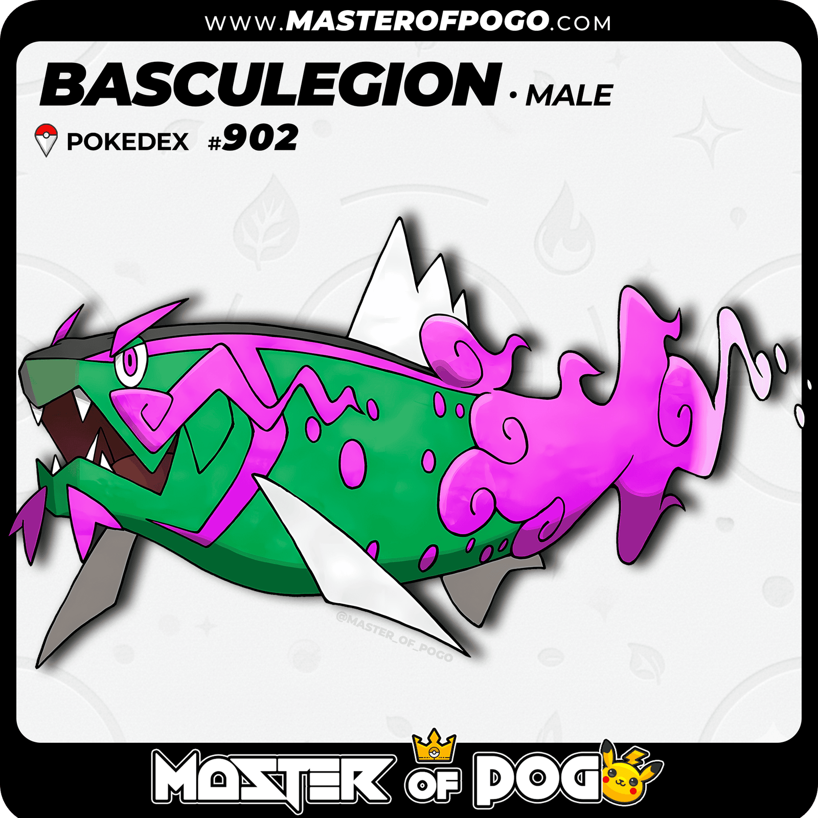 WEB POKEMON – 902 MALE S