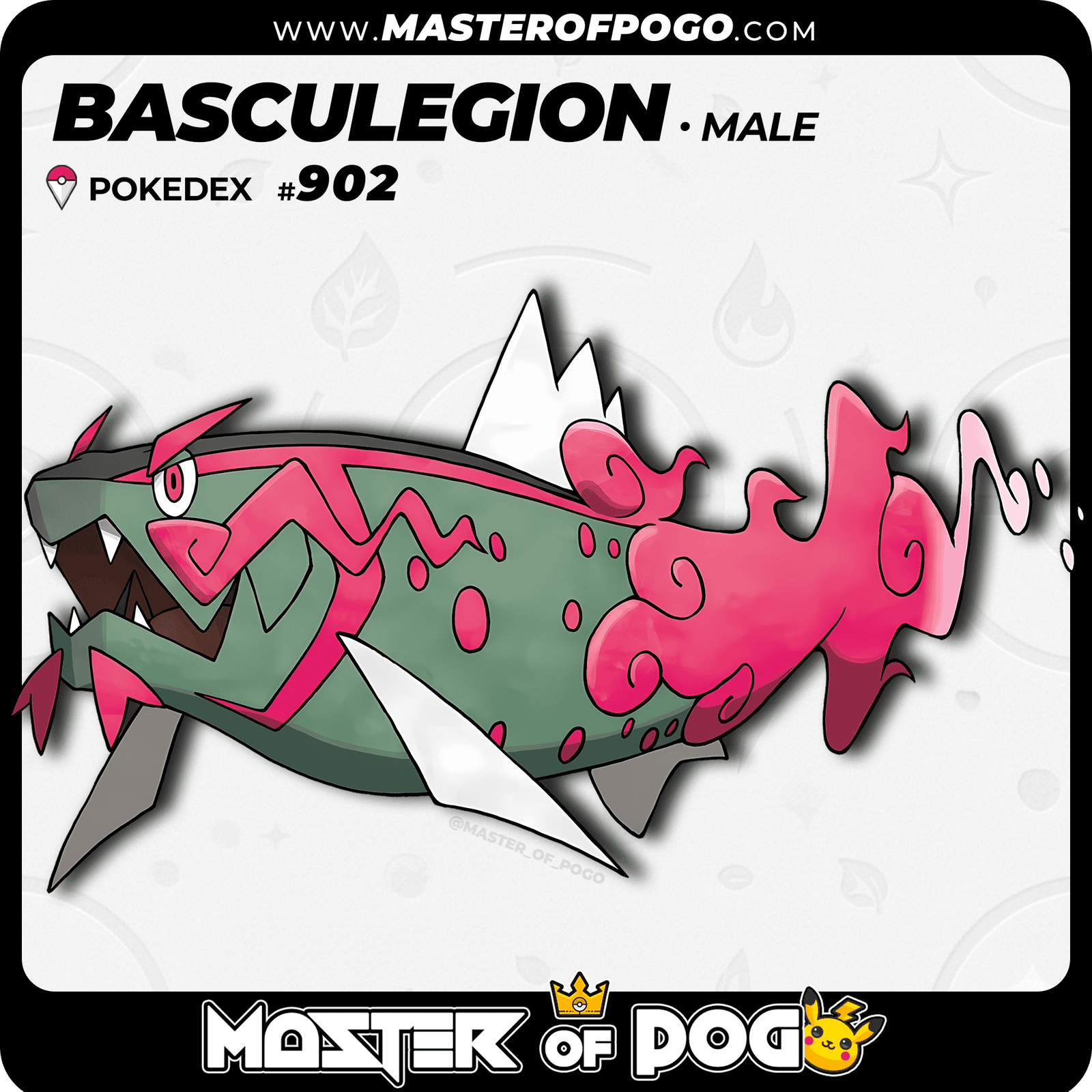 WEB POKEMON - 902 MALE