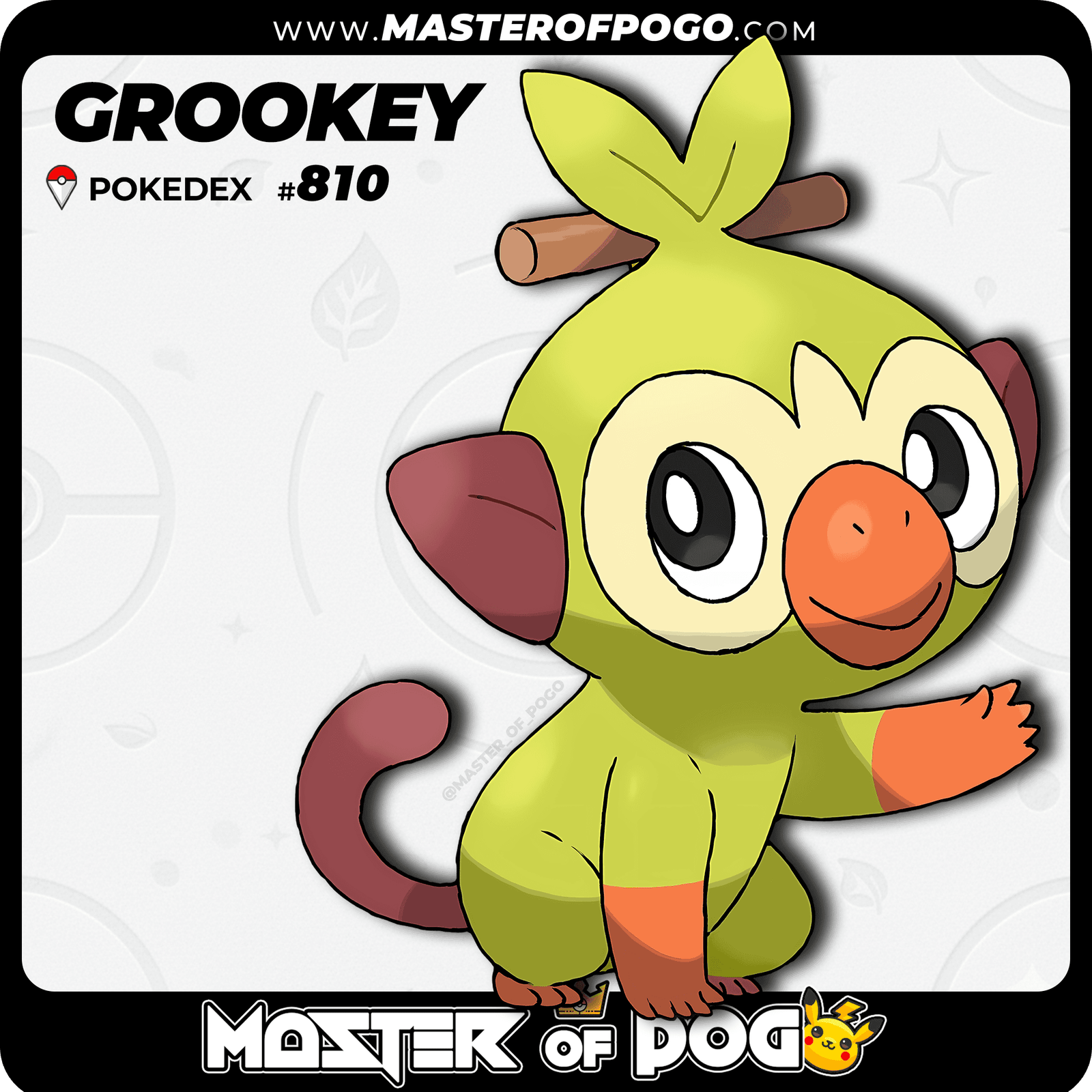 WEB-POKEMON-810-S.png