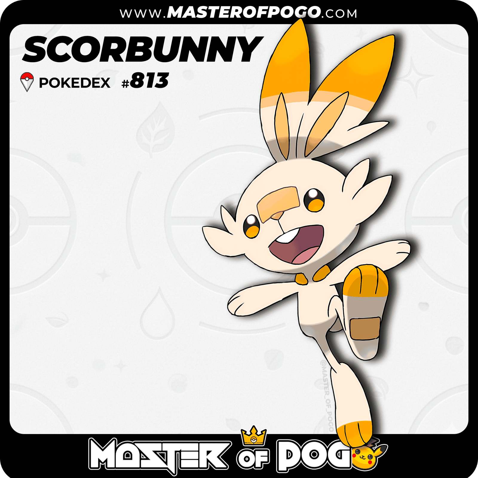 WEB-POKEMON-813-S.png