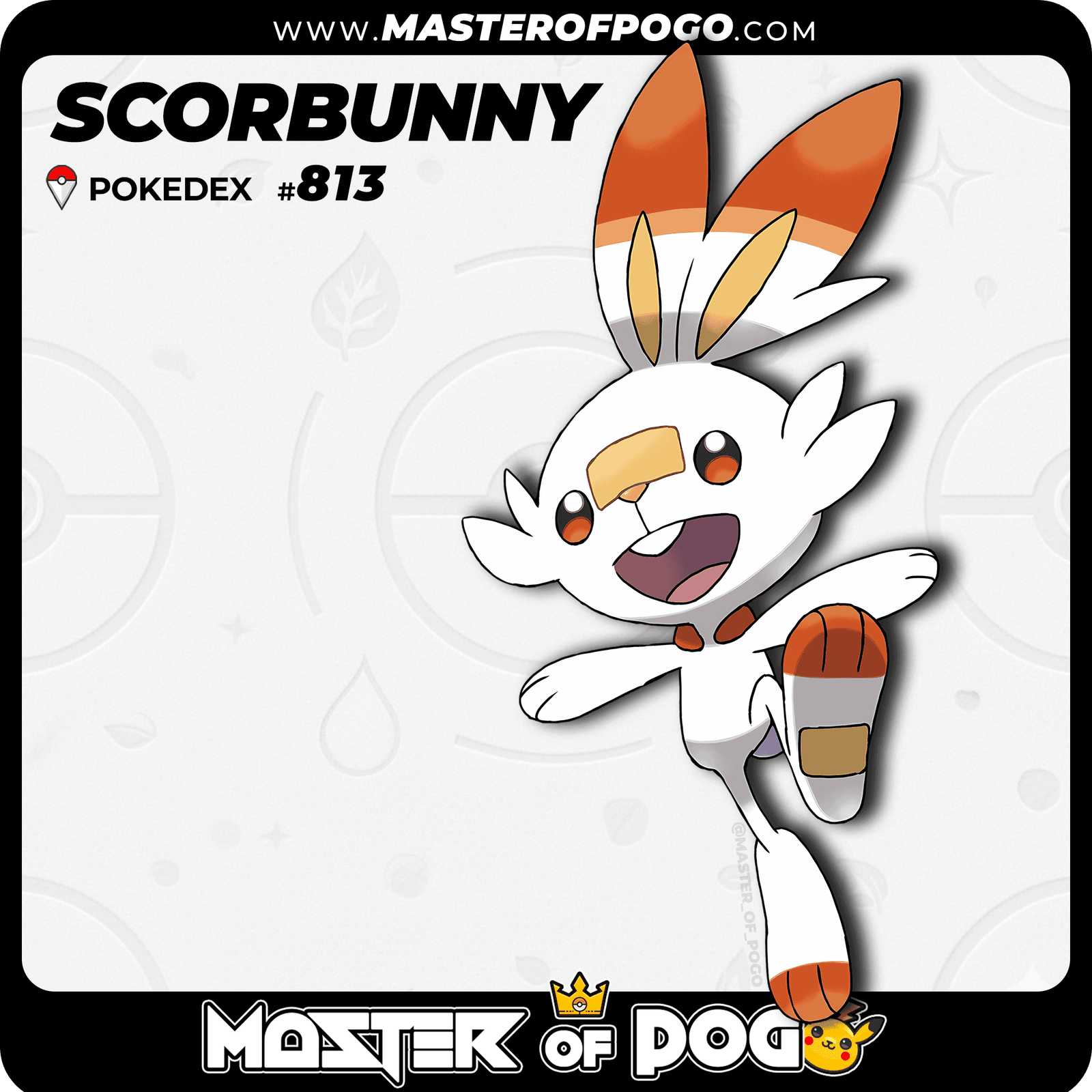WEB-POKEMON-813.png
