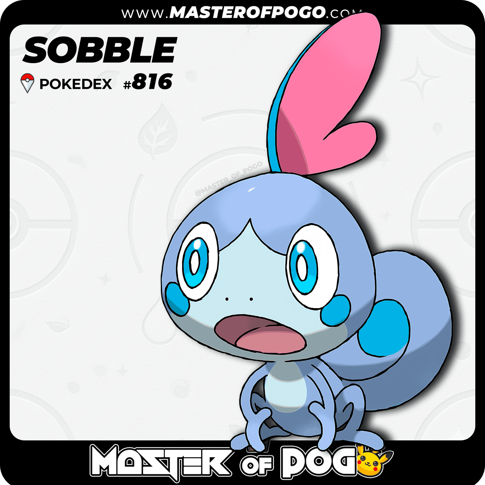 WEB-POKEMON-816-S.png