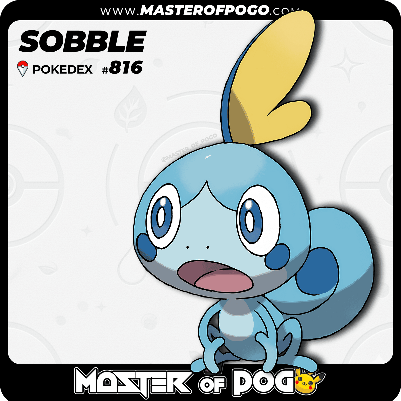 WEB-POKEMON-816.png