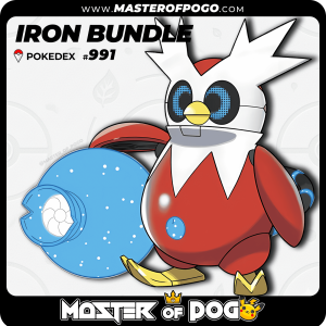 #991 - IRON BUNDLE